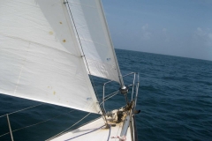 leesails le vele nel mondo (26)