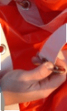 Atn_clip_image004